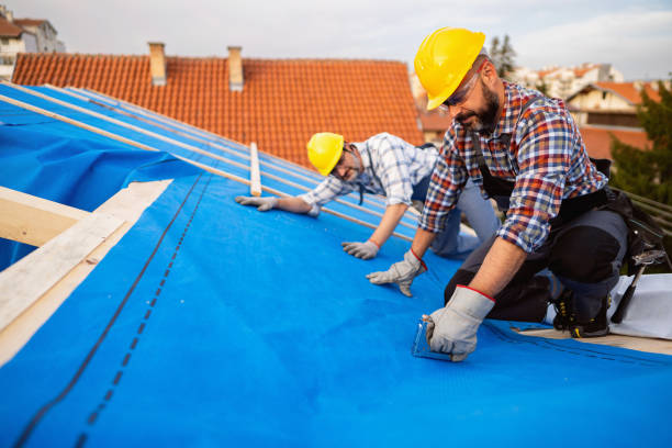 Best Storm Damage Roof Repair  in Marianna, FL